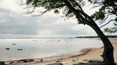 Sableaux Noirmoutier Island Beach