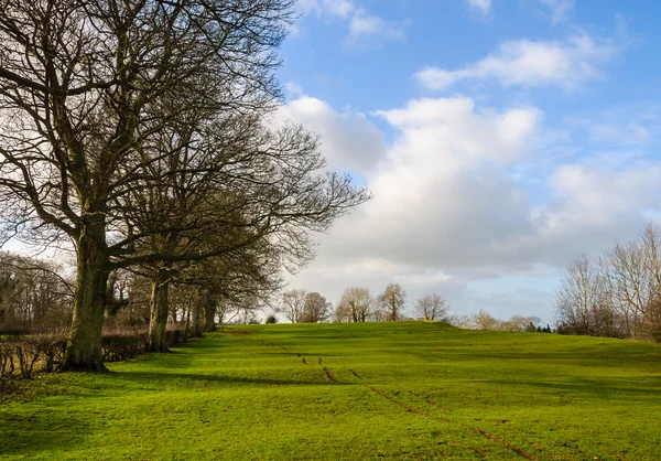 Paesaggio rurale in inverno in Inghilterra — Foto Stock