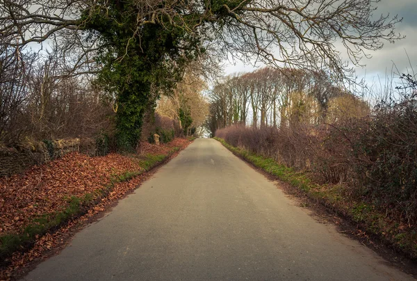 Estrada na Grã-Bretanha rural — Fotografia de Stock