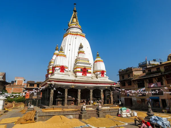 Rice drying in Bungamati, Nepal — Stock Photo, Image