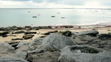 Su birikintisi, Pointe de St-Pierre adasında Noirmoutier, Fransa Cinemagraph sorunsuz döngü