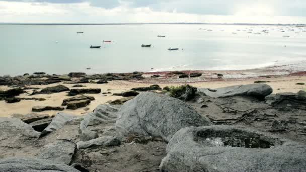 Cinemagraph naadloze loops van plas op Pointe de St-Pierre in het eiland Noirmoutier, Frankrijk — Stockvideo
