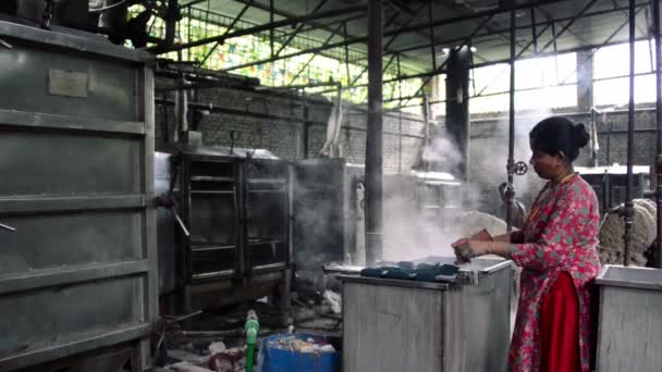 Femme teint la laine dans une usine de teinture — Video