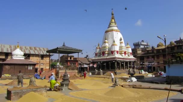 Ryż, suszenie w Bungamati, Nepal — Wideo stockowe