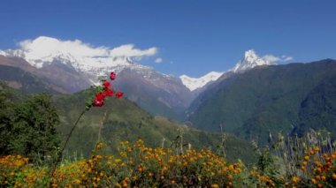 Nepal Annapurna aralığı