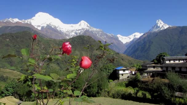 Ghandruk χωριό στο Νεπάλ — Αρχείο Βίντεο