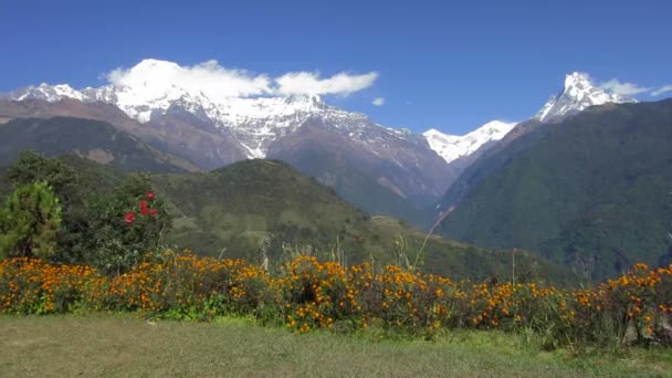 La gamma Annapurna in Nepal — Video Stock