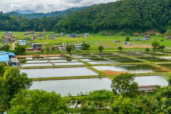 Acquicoltura in Nepal — Foto Stock