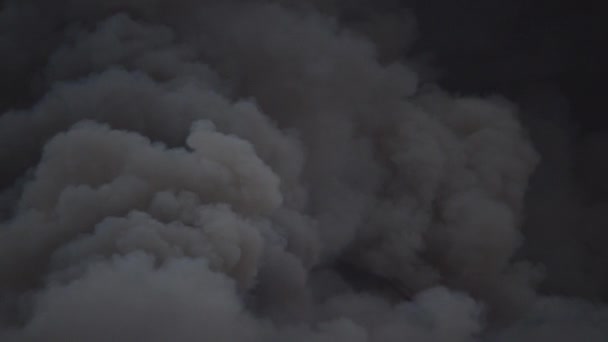 Lesní požární kouř detailní záběr — Stock video