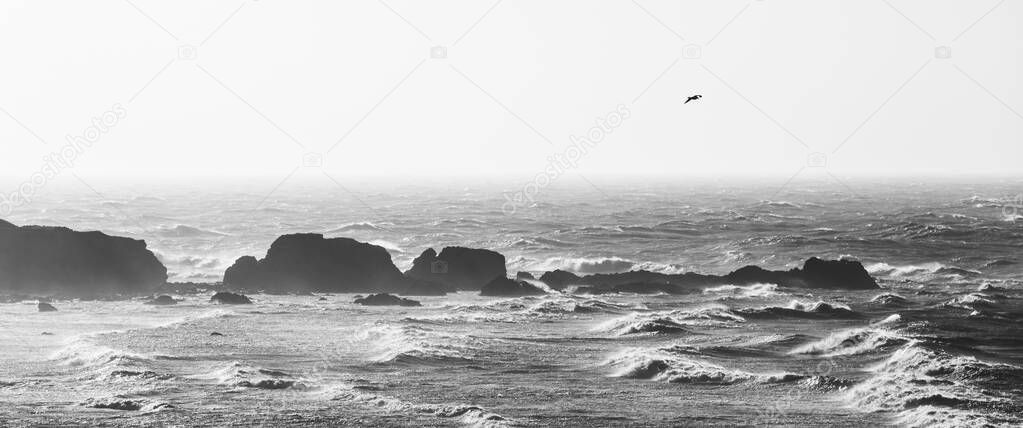 Panoramic view of rough sea in black and white