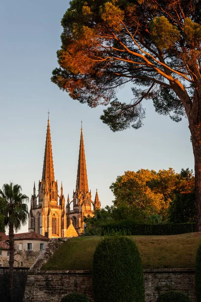Catedral de Bayona al atardecer, Francia — Foto de Stock