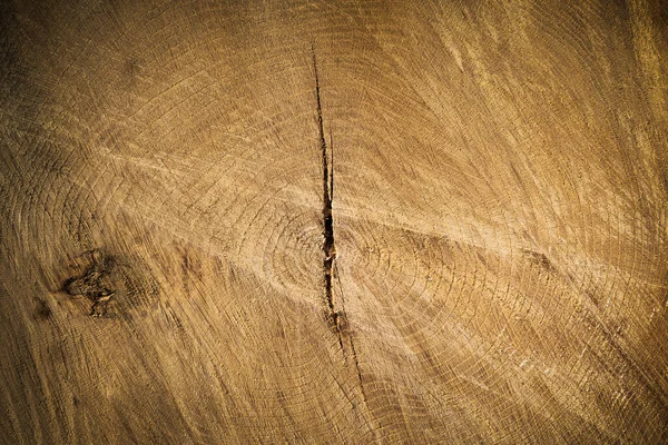 Tronco de árvore fundo seção transversal — Fotografia de Stock