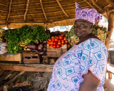 Bamako, Mali 'de sebze satan bir kadın