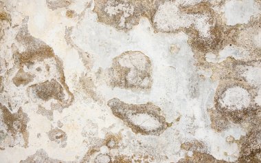 Harap olmuş beyaz duvar dokusu