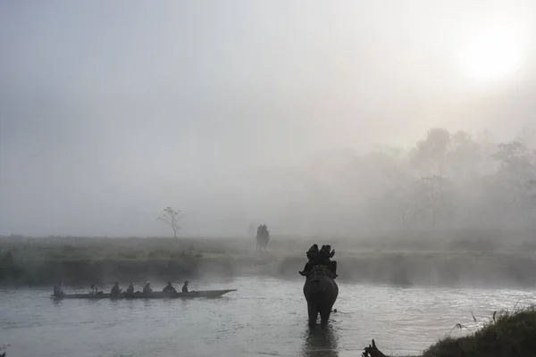 Elephant safari in Chitwan, Nepal — Stock Photo, Image