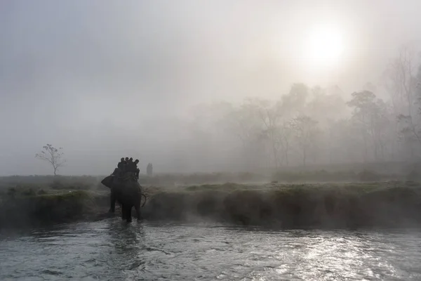 Elefantsafari i Chitwan, Nepal — Stockfoto