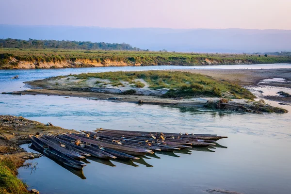 Piroghe a Chitwan, Nepal — Foto Stock