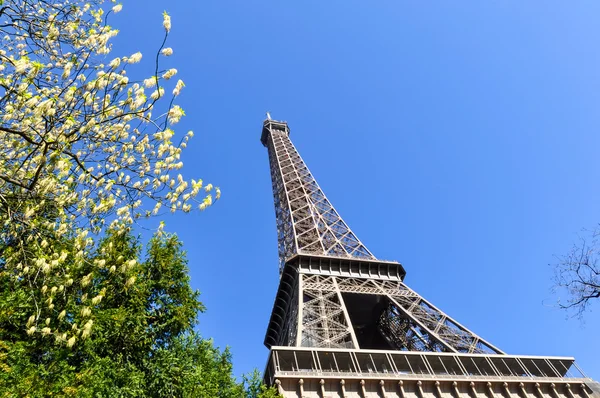 De Eiffeltoren in Parijs — Stockfoto