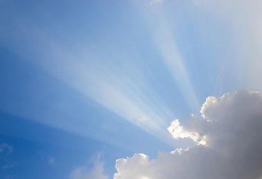 Bulutların arasından geçen yapraklara