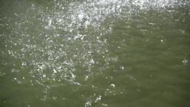 Wasser plätschert in Zeitlupe — Stockvideo