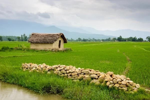 Piccola casa circondata da risaie nella valle di Deukhuri — Foto Stock