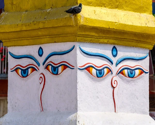 부처님의 눈 — 스톡 사진