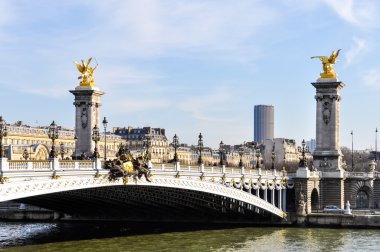 Pont Alexandre III ve Montparnasse Kulesi 