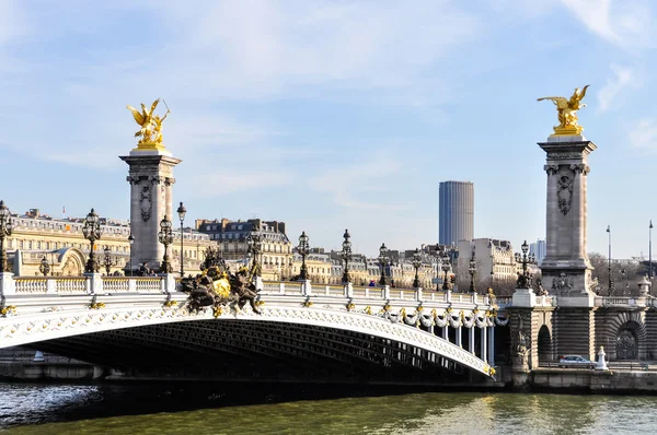 Pont Alexandre III ve Montparnasse Kulesi — Stok fotoğraf