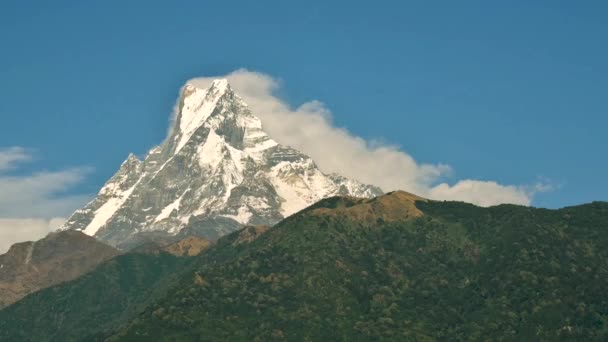 Machapuchare cinemagraph, Nepal — Stock Video