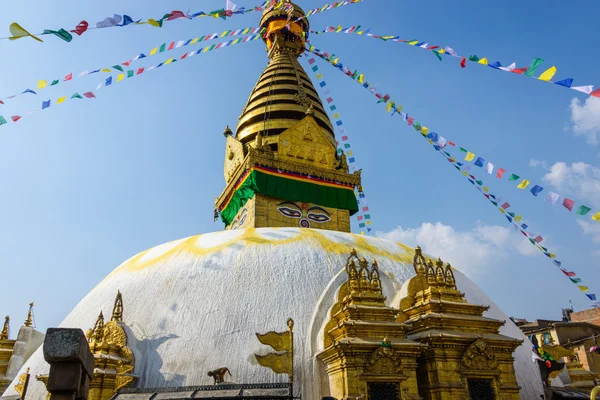 Swayambhunath stoepa in kathmandu — Stockfoto