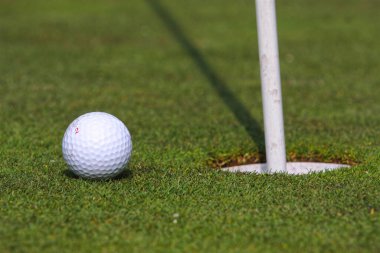Yeşil üzerine bir golf topu