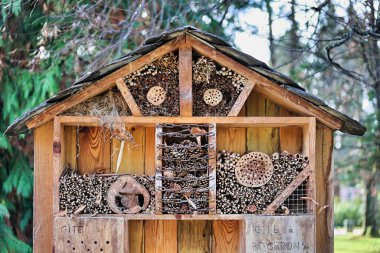 Böcek barınağı, yaban arısı evi