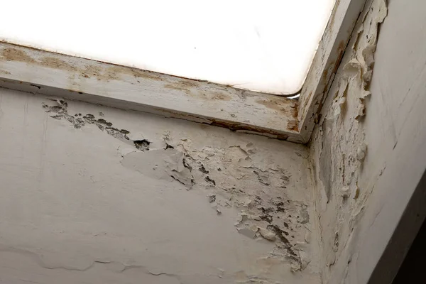Mold, mildew on the wall in humid places. The most destructive fungus due to moisture and lack of ventilation. Peeling paint due to high humidity. The problem of damp rooms without ventilation