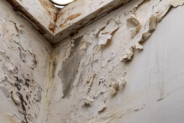 Mold, mildew on the wall in humid places. The most destructive fungus due to moisture and lack of ventilation. Peeling paint due to high humidity. The problem of damp rooms without ventilation