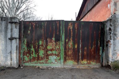 Güzel eski grungy çatladı mavi doğal olarak paslanmış pas ve duvar boyası paslanmış metal çarşaf soyuyordu. Posterler ve blog yazarları için desenli tavan arası süsleme arkaplanı