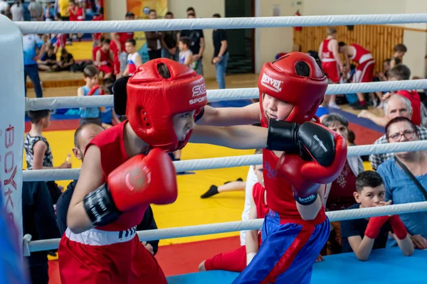 Odessa Ucrânia Maio 2021 Torneios Boxe Entre Crianças Boxe Infantil — Fotografia de Stock