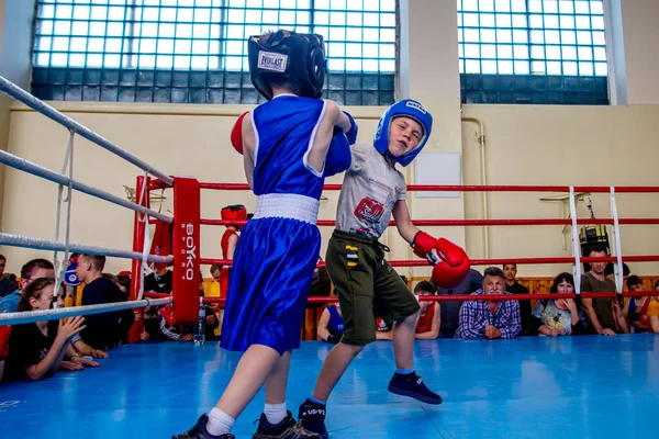 Odessa Ukrajna 2021 Május Boxing Tornák Gyerekek Között Gyerekboksz Gyereksport — Stock Fotó