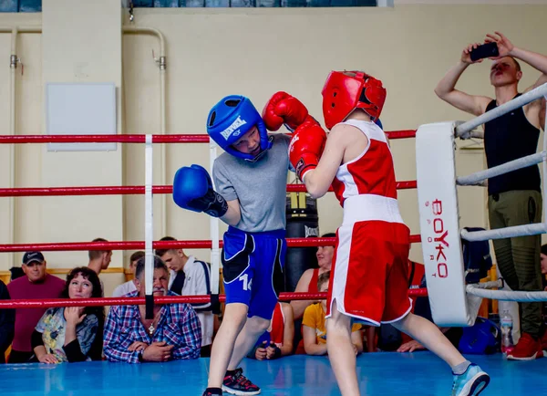 Одеса Україна Травня 2021 Бокс Турніри Серед Дітей Дитячий Бокс — стокове фото