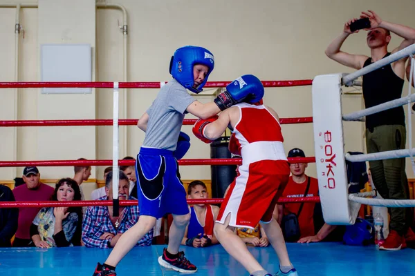 Odessa Ucrania Mayo 2021 Torneos Boxeo Entre Niños Boxeo Infantil —  Fotos de Stock