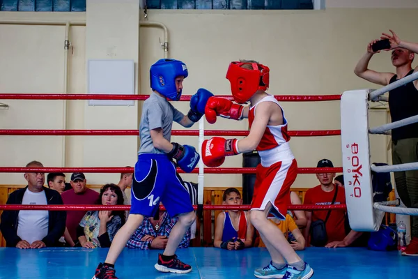 Odessa Ucrania Mayo 2021 Torneos Boxeo Entre Niños Boxeo Infantil — Foto de Stock