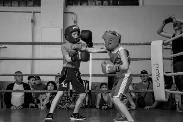 Odessa Ucrânia Maio 2021 Torneios Boxe Entre Crianças Boxe Infantil — Fotografia de Stock