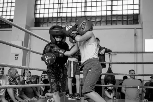 Odessa Ukraine May 2021 Boxing Tournaments Children Children Boxing Children — ストック写真