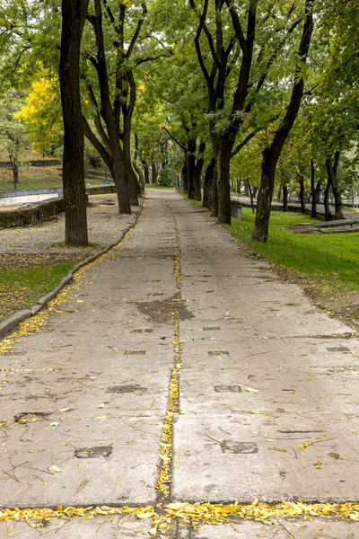 Curvas de la pista en el pintoresco parque botánico abandonado —  Fotos de Stock