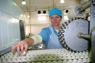 Fabrika doğal Ingredi gıda ürünleri imalatı için