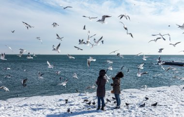 Odessa, Ukrayna - 19 Ocak 2016: Genç kız aç beslemeleri 