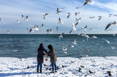 Odessa, Ukrayna - 19 Ocak 2016: Genç kız aç beslemeleri 