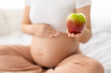 Evinde taze elma tutan hamile kadına yakın çekim. Sağlıklı doğum öncesi beslenme, hamilelik diyeti ve annelik yaşam tarzı kavramı annelik refahını destekler.
