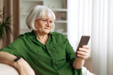 Son sınıf öğrencisi kadın evdeki koltukta oturmuş akıllı telefon ekranına bakıyor. Olgun beyaz kadın mesajları okuyor ya da internette geziniyor