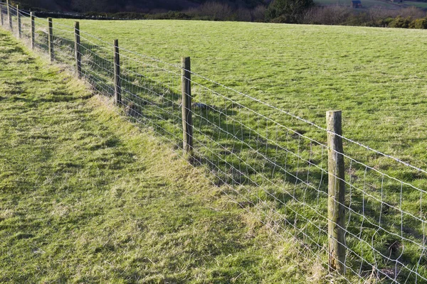 Metalowe ogrodzenie dzielące dwóch obszarach trawiastych — Zdjęcie stockowe