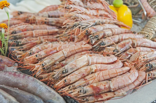 Colección de camarones en exhibición en el restaurante de mariscos —  Fotos de Stock